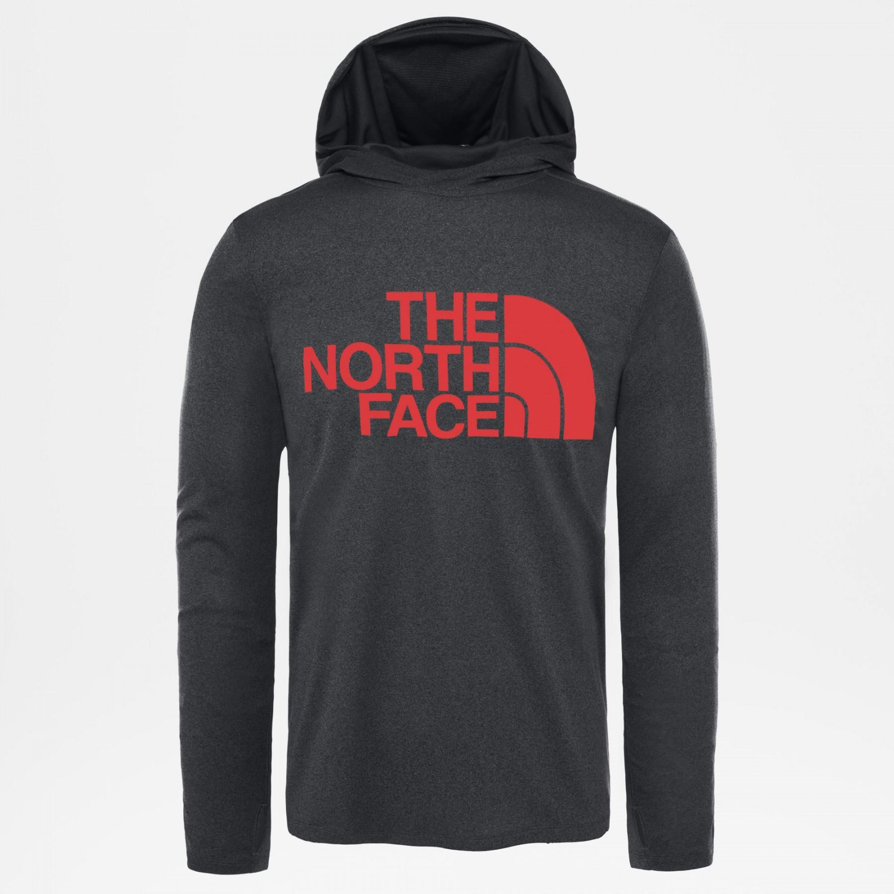 Sweat à capuche The North Face 24/7 Big Logo