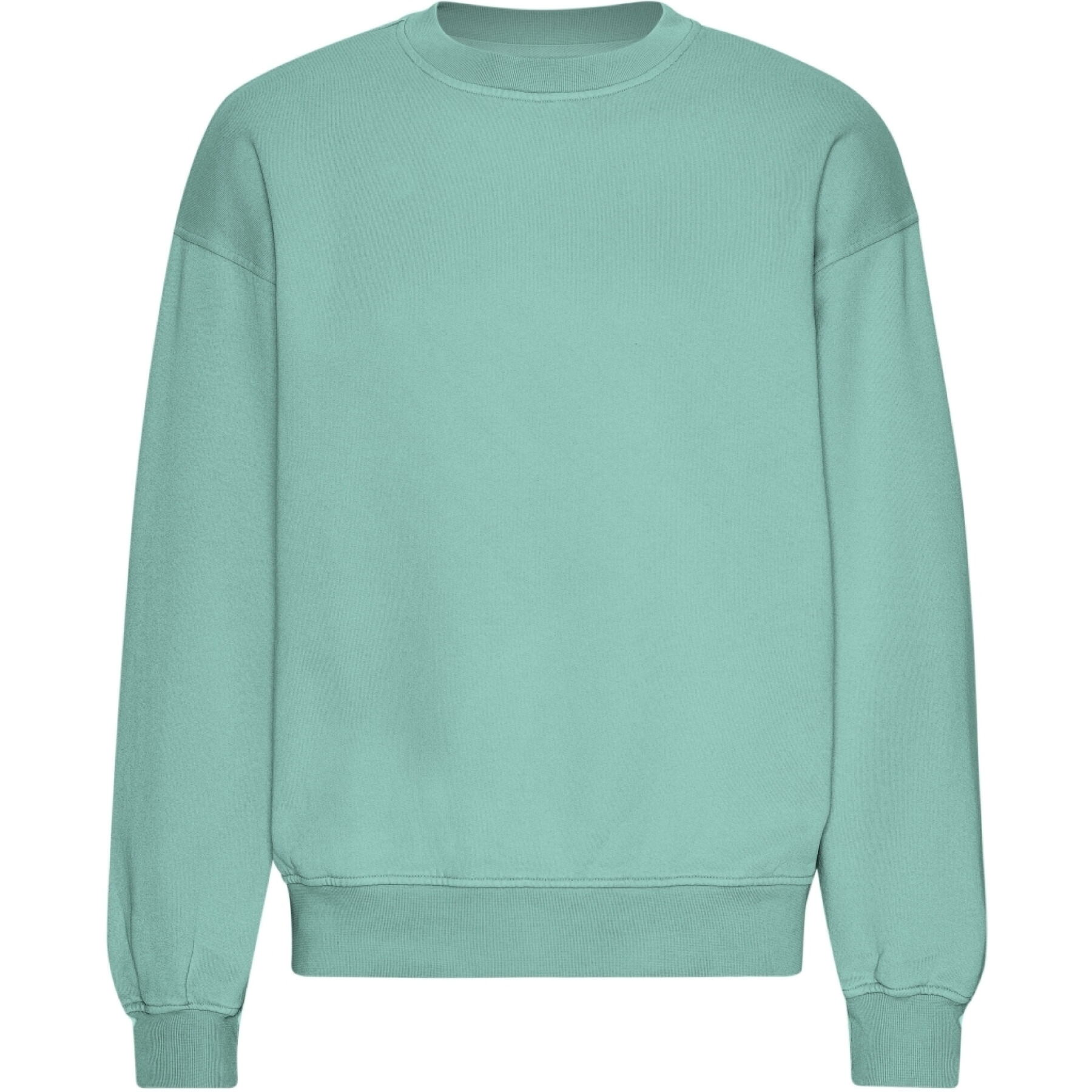Sweatshirt oversize Colorful Standard Organic