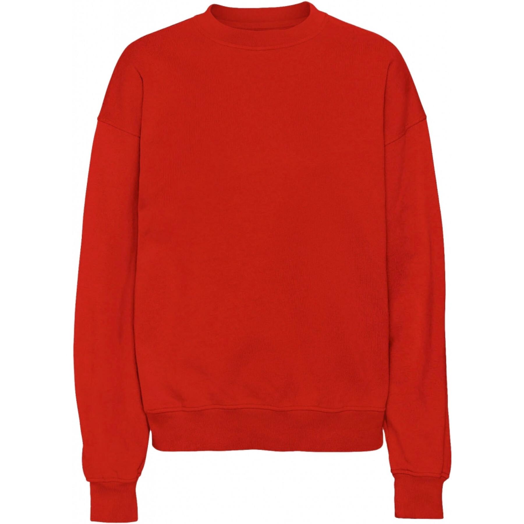 Sweatshirt col rond Colorful Standard Organic oversized scarlet red