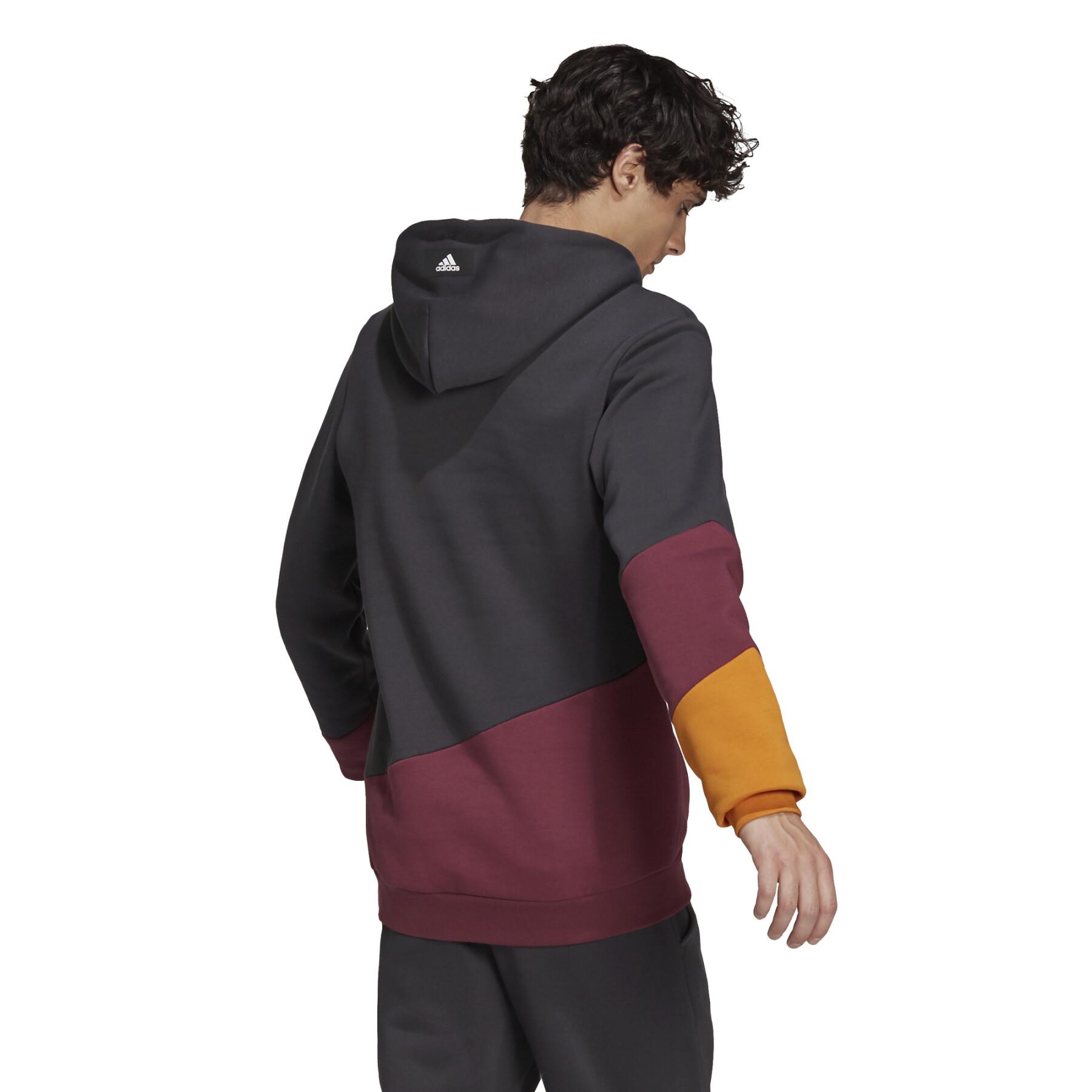 Sweatshirt à capuche adidas Sportswear Colorblock