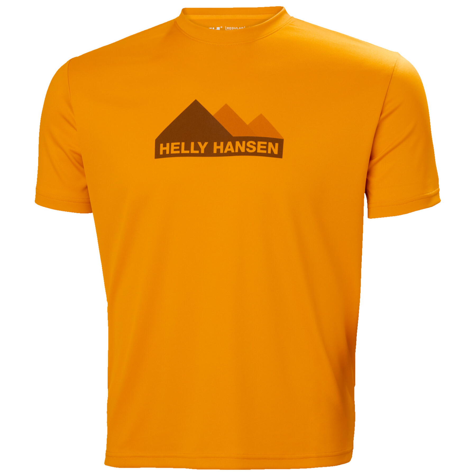 T-shirt Helly Hansen hh tech graphique