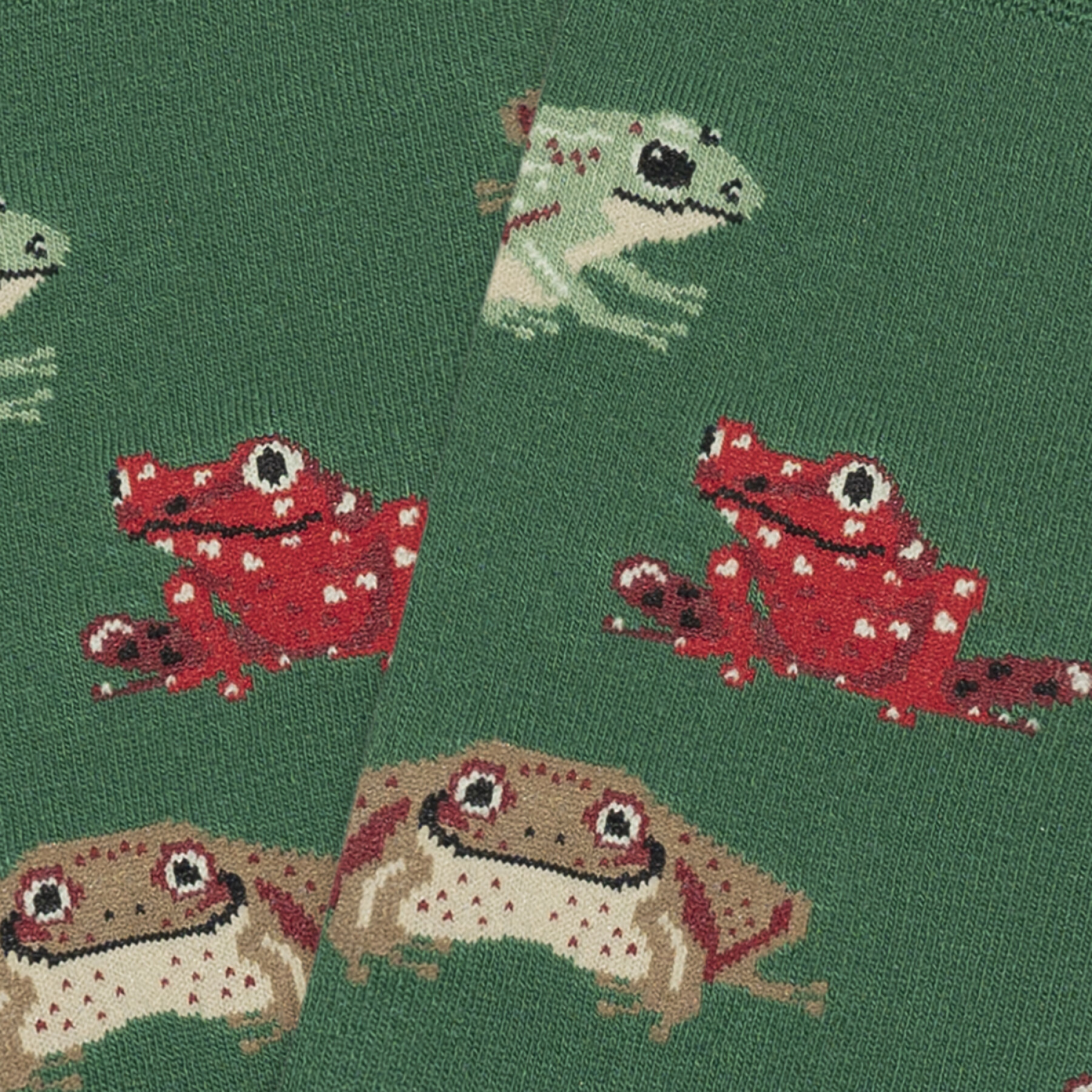 Chaussettes Jimmy Lion Frogs