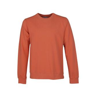Sweatshirt col rond Colorful Standard Classic Organic dark amber