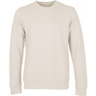 Sweatshirt col rond Colorful Standard Classic Organic ivory white