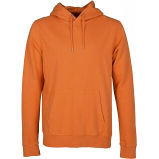 Sweatshirt à capuche Colorful Standard Classic Organic burned orange