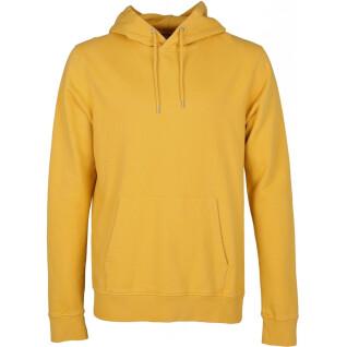 Sweatshirt à capuche Colorful Standard Classic Organic burned yellow