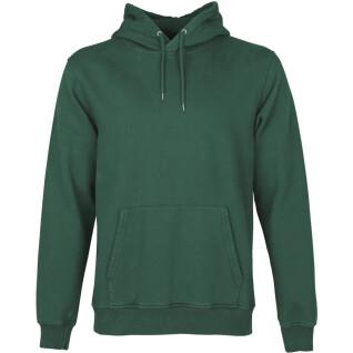 Sweatshirt à capuche Colorful Standard Classic Organic emerald green