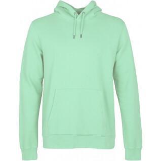 Sweatshirt à capuche Colorful Standard Classic Organic faded mint
