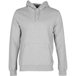 Sweatshirt à capuche Colorful Standard Classic Organic heather grey