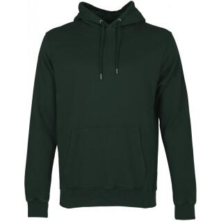 Sweatshirt à capuche Colorful Standard Classic Organic hunter green