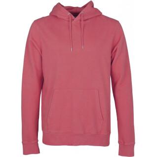 Sweatshirt à capuche Colorful Standard Classic Organic raspberry pink