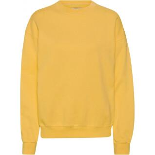 Sweatshirt col rond Colorful Standard Organic oversized burned yellow