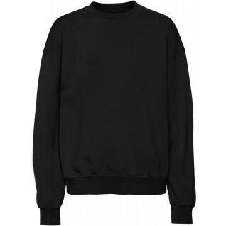 Sweatshirt col rond Colorful Standard Organic oversized deep black