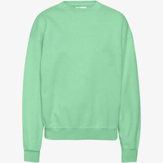 Sweatshirt col rond Colorful Standard Organic oversized faded mint