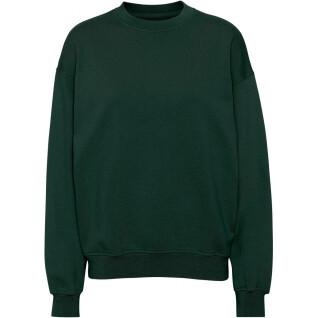 Sweatshirt col rond Colorful Standard Organic oversized hunter green