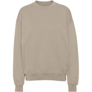 Sweatshirt col rond Colorful Standard Organic oversized oyster grey