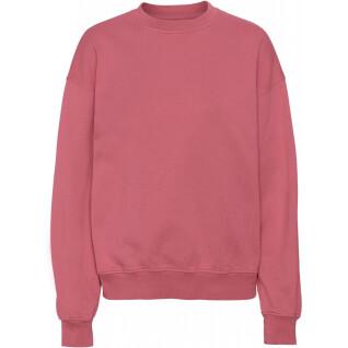 Sweatshirt col rond Colorful Standard Organic oversized raspberry pink