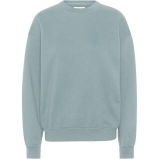 Sweatshirt col rond Colorful Standard Organic oversized steel blue