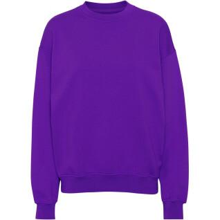 Sweatshirt col rond Colorful Standard Organic oversized ultra violet