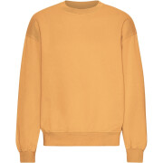 Sweatshirt col rond oversize Colorful Standard Organic Sandstone Orange