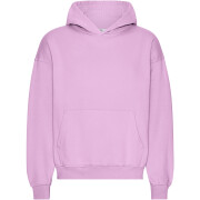 Sweatshirt à capuche oversize Colorful Standard Organic Cherry Blossom