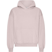 Sweatshirt à capuche oversize Colorful Standard Organic Faded Pink