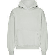 Sweatshirt à capuche oversize Colorful Standard Organic Limestone Grey