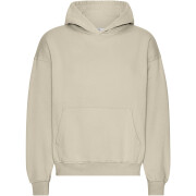 Sweatshirt à capuche oversize Colorful Standard Organic Oyster Grey