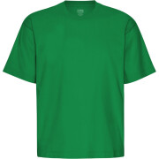 T-shirt oversize Colorful Standard Organic Kelly Green