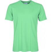 T-shirt Colorful Standard Classic Organic spring green