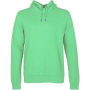 Sweatshirt à capuche Colorful Standard Classic Organic spring green