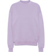 Sweatshirt col rond Colorful Standard Organic oversized soft lavender