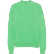 Sweatshirt col rond Colorful Standard Organic oversized spring green