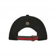 Casquette Cayler & Sons wl good day curved