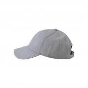 Casquette Cayler & Sons wl mont mercy curved
