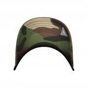 Casquette Cayler & Sons wl off curved