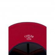 Casquette Cayler&Sons basic Wetcoat icon