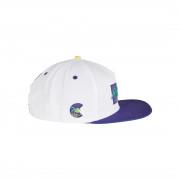 Casquette Cayler & Sons miami vibes