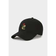Casquette Cayler & Sons wl royal c curved