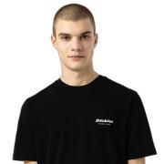T-shirt manches courtes Dickies Artondale Box