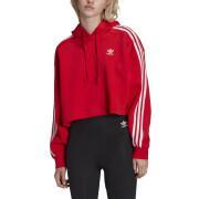 Sweatshirt à capuche femme adidas Originals Adicolor Classics Crop