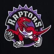 Sweatshirt à capuche Toronto Raptors Origins