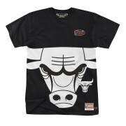 T-shirt col rond Chicago Bulls