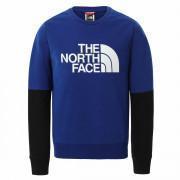 Sweatshirt à capuche enfant The North Face Léger Drew Peak