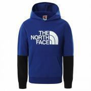 Sweatshirt enfant The North Face Drew