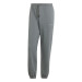 IW1187 gris
