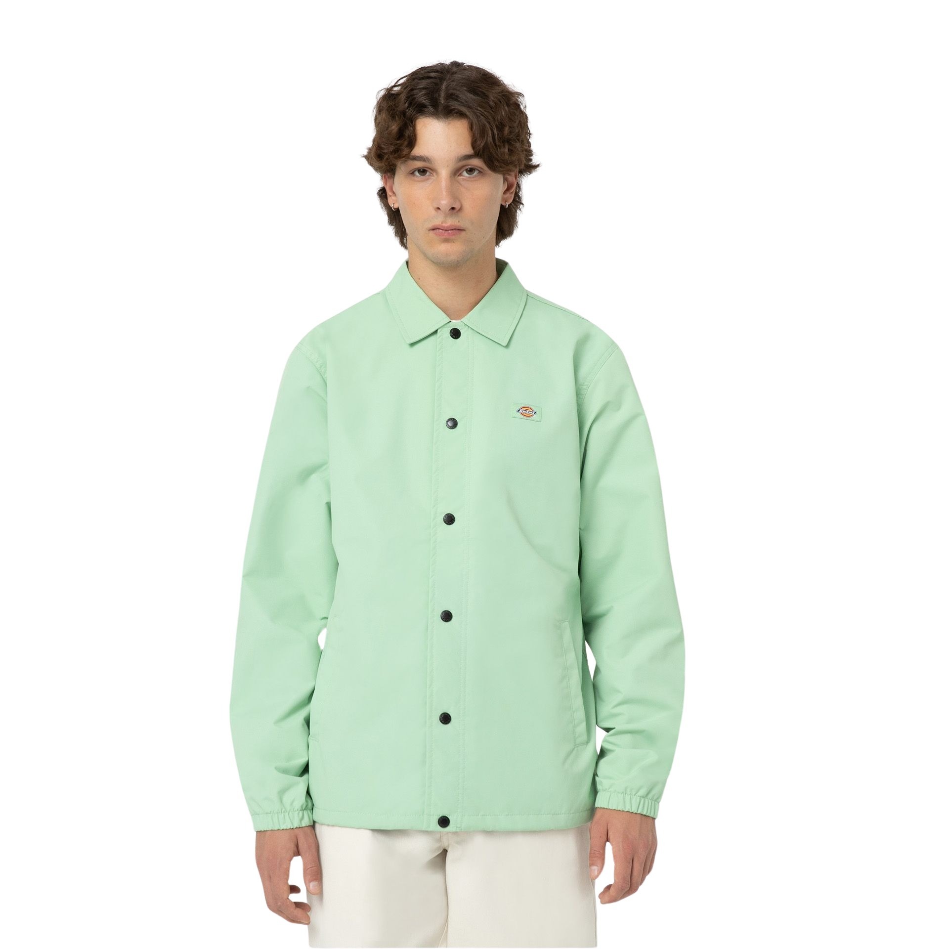 surchemise dickies oakport coach